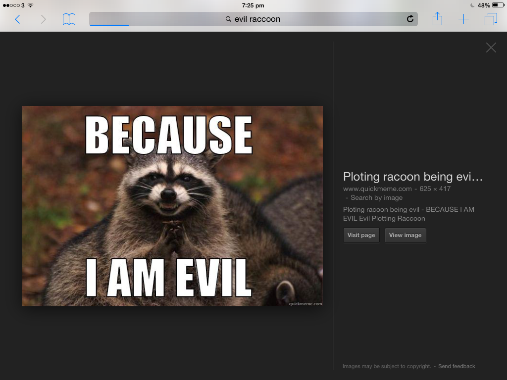 hahahahahahaha hahahahahaha - Evil Plotting Raccoon