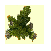 bysingwood