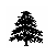 cedarhall